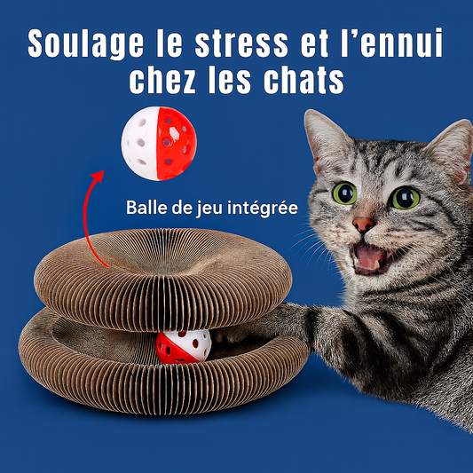 Cocox : Jouet Interractif pour chat
