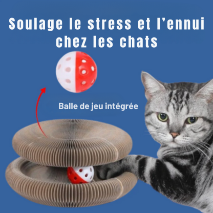 Cocox : Jouet Interractif pour chat
